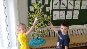 IMG_20250317_093634.jpg